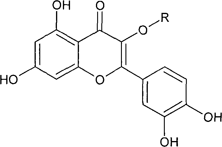 Application of quercetin in preparing medicaments for treating organ transplant rejection reactions