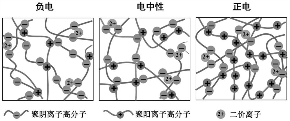 A kind of anti-bioadhesion polyelectrolyte hydrogel and its preparation method and application