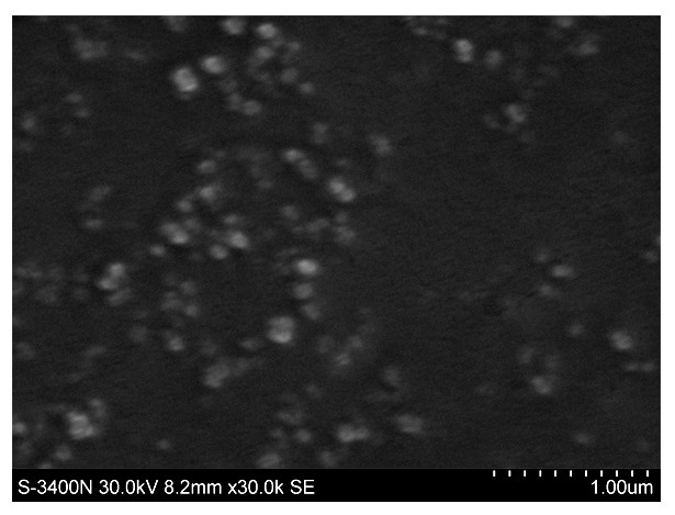 Self-assembly system based on hydrophilic polymer and medicine and preparation method thereof