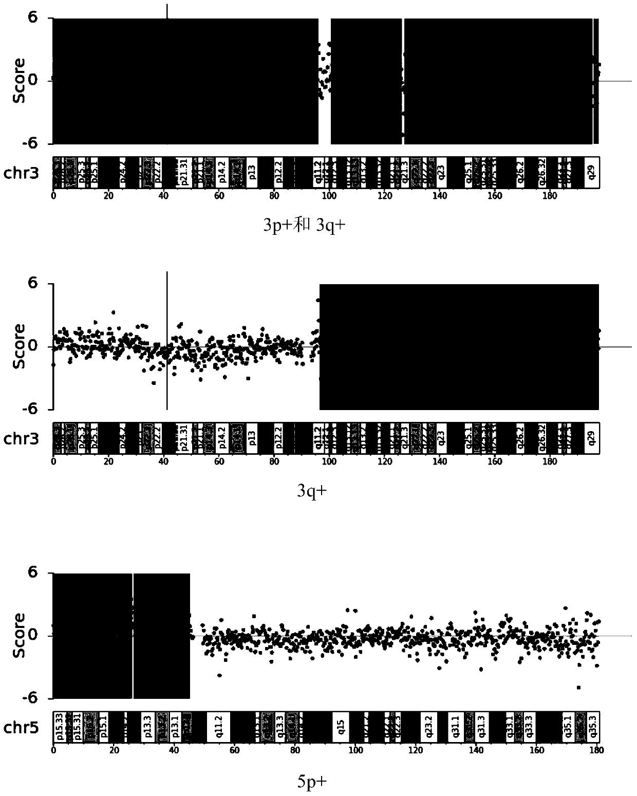 Application of chromosome instable mutation to preparing agent or kit for diagnosis, evaluation and prognosis of urothelium carcinoma