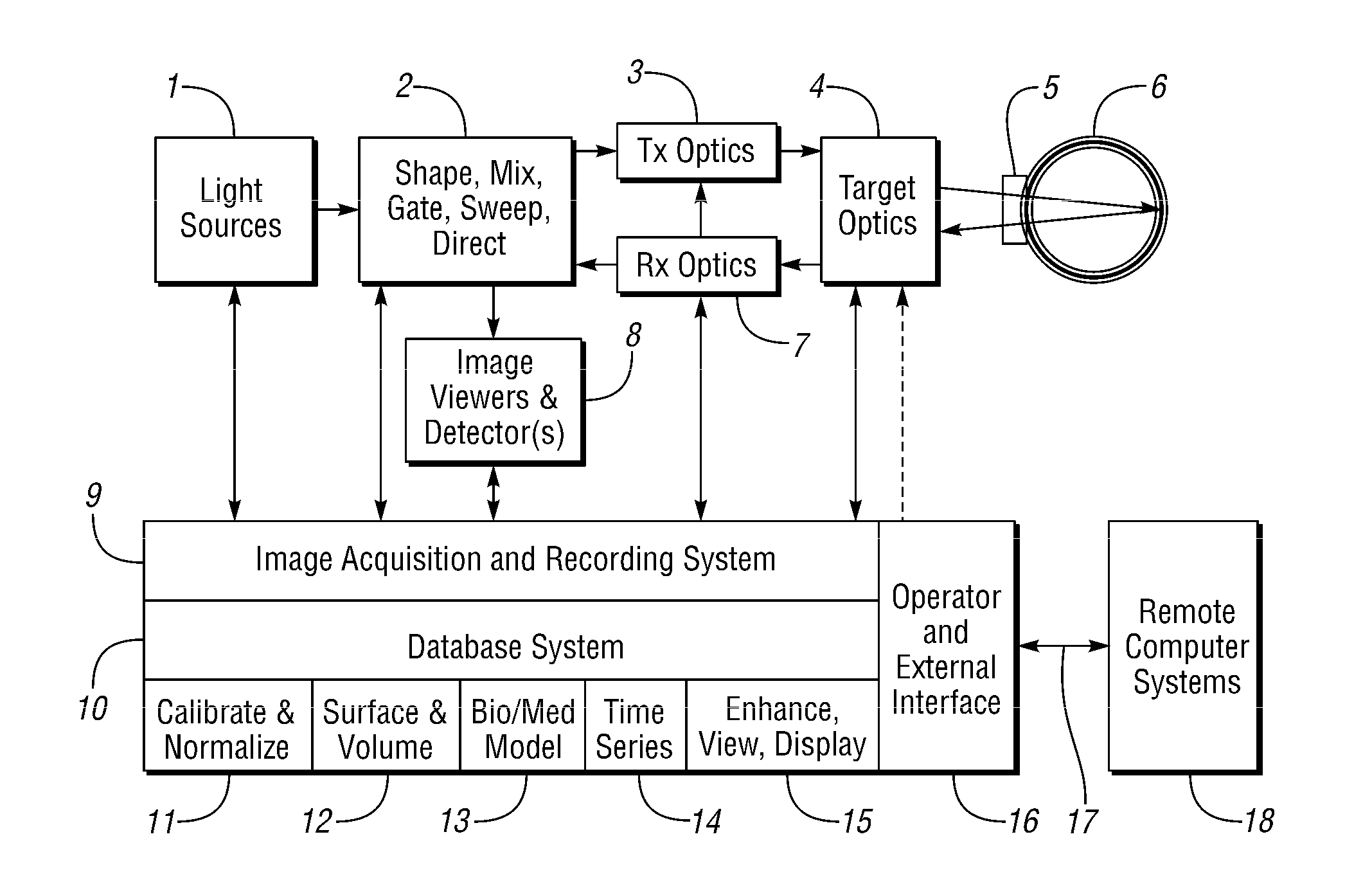 System and Method for Determining Volume-Related Parameters of Ocular and Other Biological Tissues