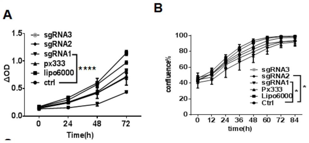 Application of stat3, hbx, stat3-hbx targeting CRISPR/Cas carrier in the preparation of HBV-related liver cancer drugs