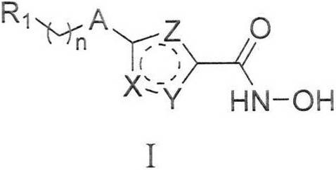 A substituted heterocyclic compound containing hydroxamic acid and its preparation method and application