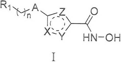 A substituted heterocyclic compound containing hydroxamic acid and its preparation method and application