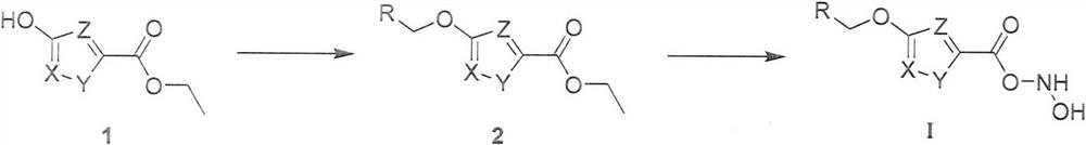 A substituted heterocyclic compound containing hydroxamic acid and its preparation method and application