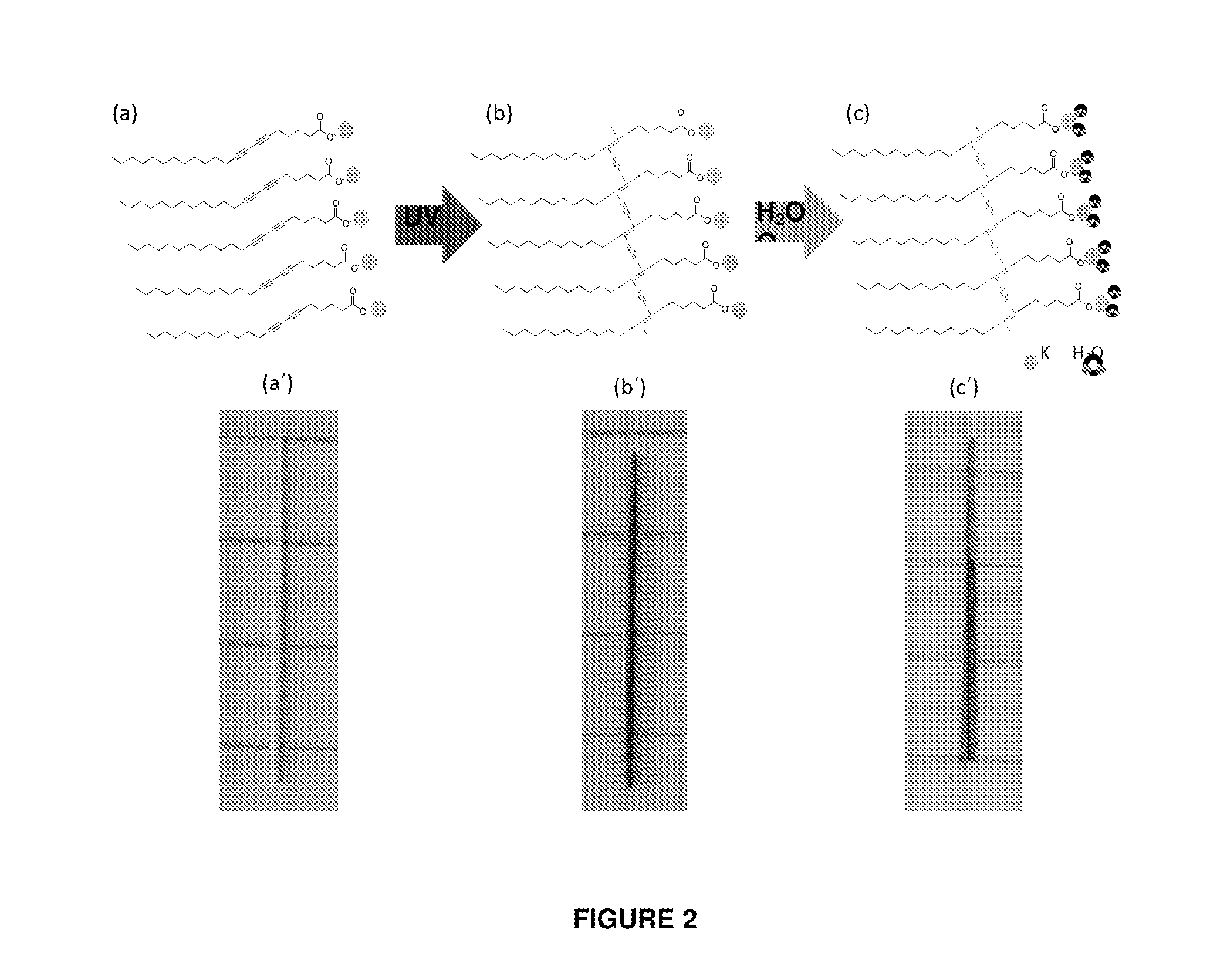 Polydiacetylene water sensors