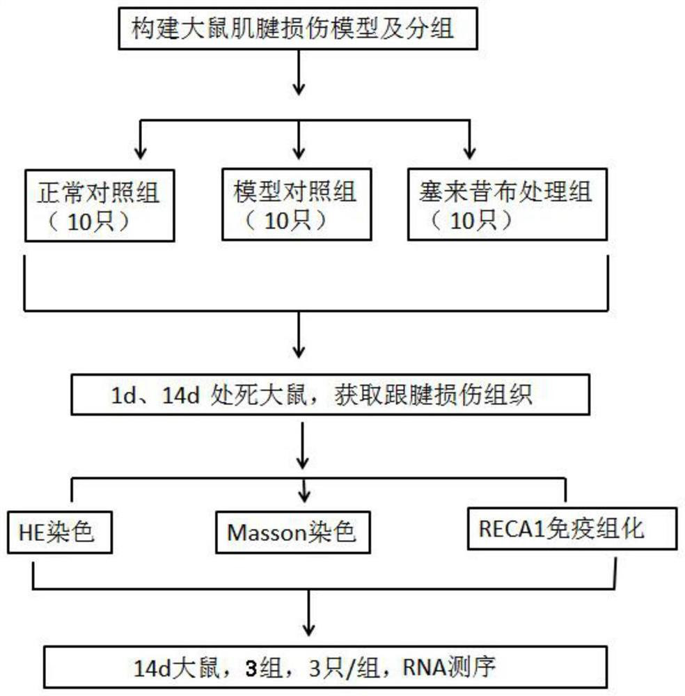 Biomarker related to tendon injury