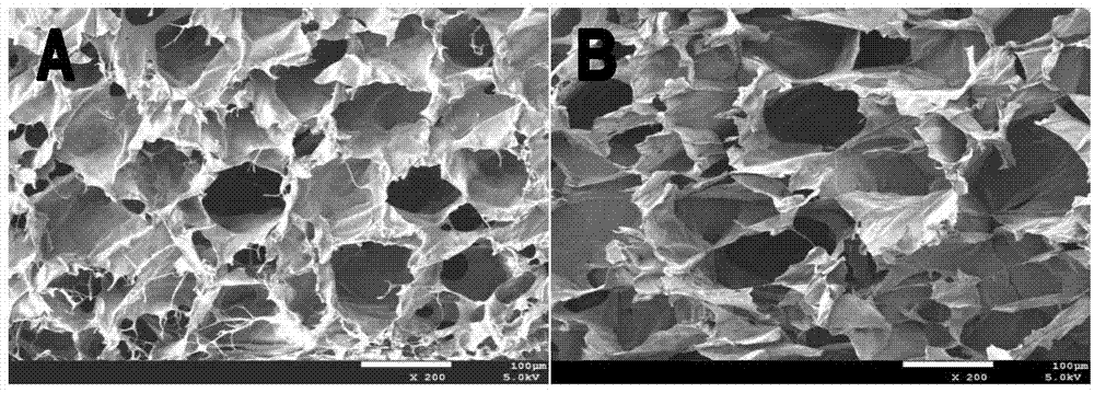 N,O-carboxymethyl chitosan-polyaldehyde hyaluronic acid gel and use thereof