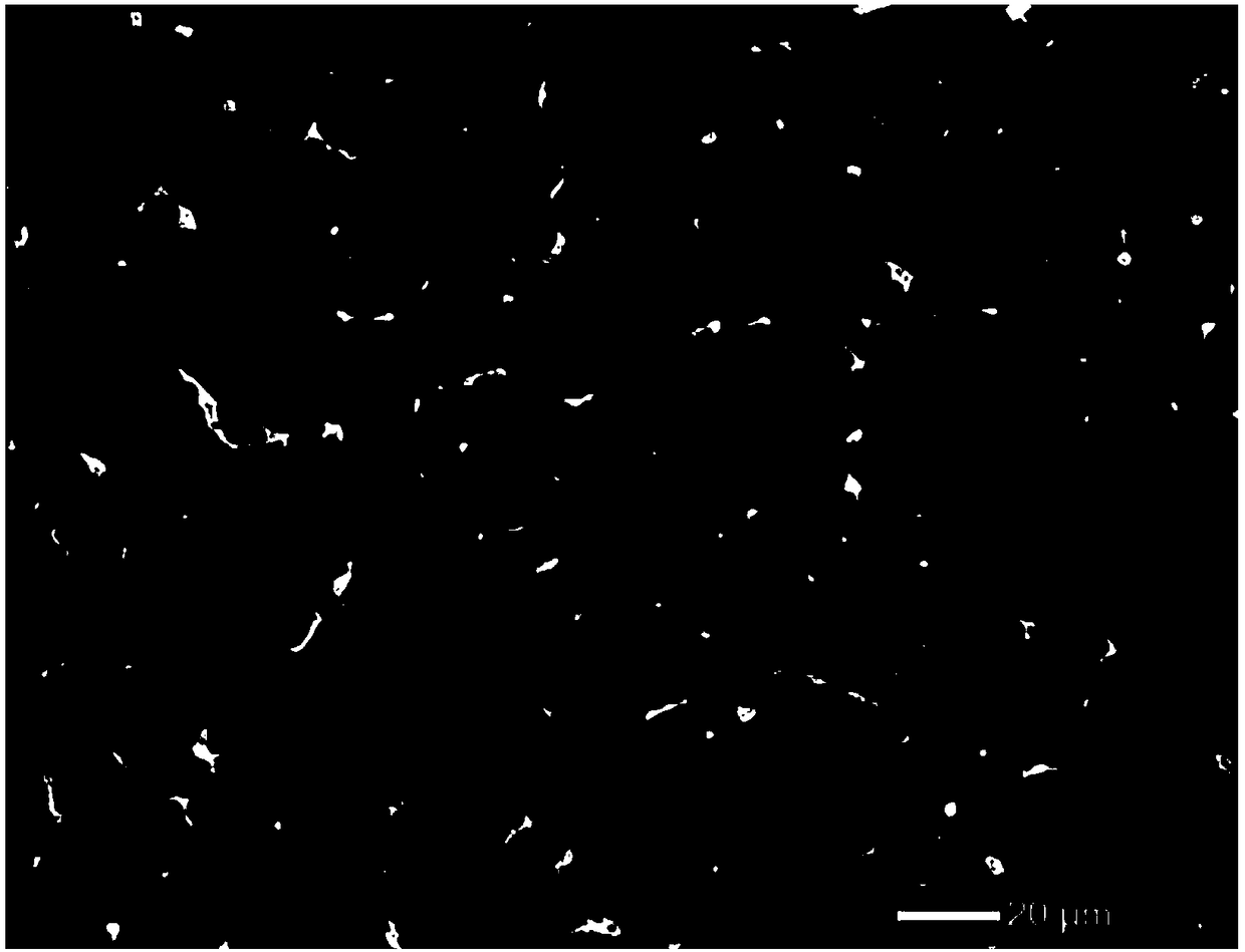 High strength and toughness deformation magnesium alloy and preparation method thereof