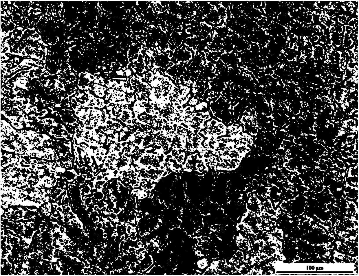 High strength and toughness deformation magnesium alloy and preparation method thereof