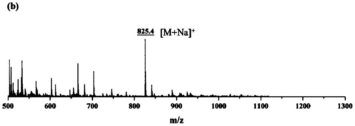 Chiral peptide antibacterial polymer taking dendrimer as side chains and preparation method thereof