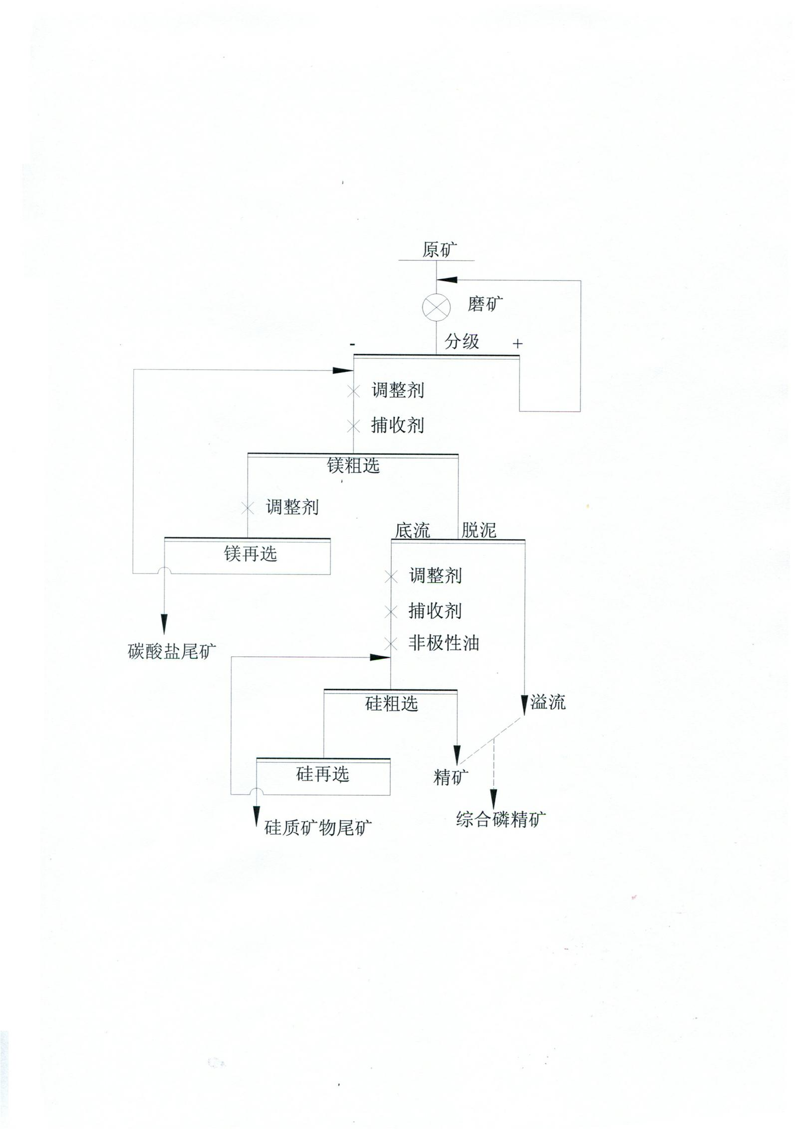 Phosphorite double-reverse flotation process