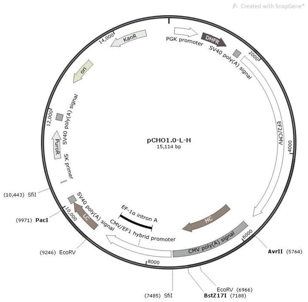 Method for knocking out FUT8 gene