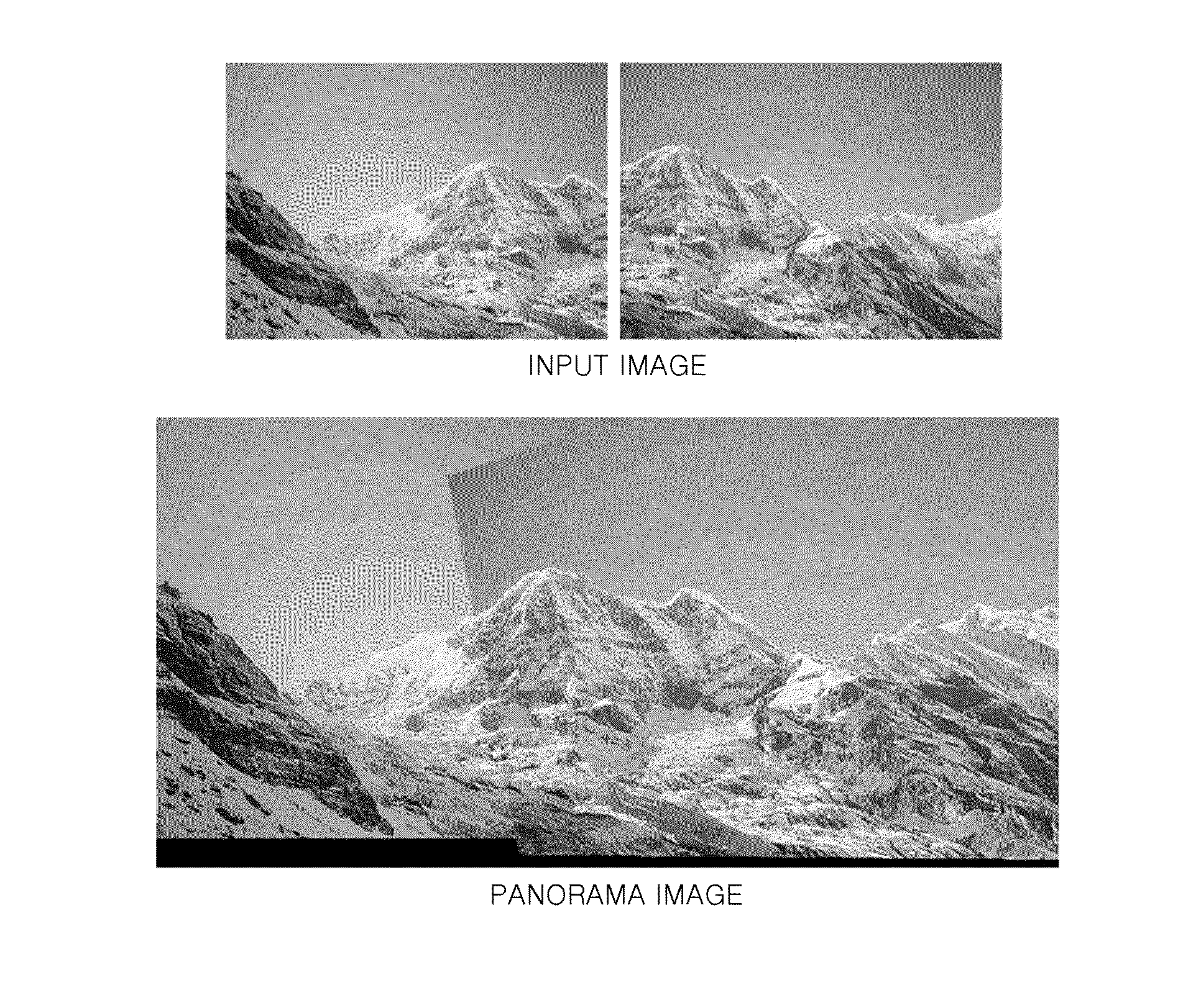 Homography estimation apparatus and method