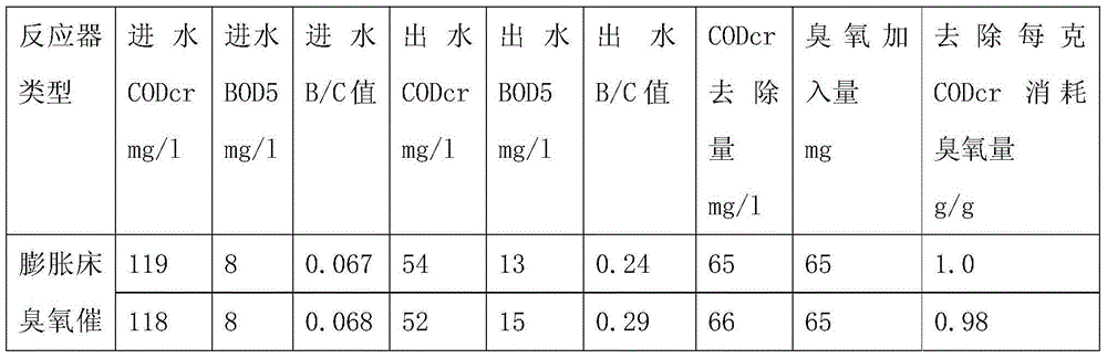 Catalytic ozonation reactor for expanded bed and sewage treatment method of catalytic ozonation reactor