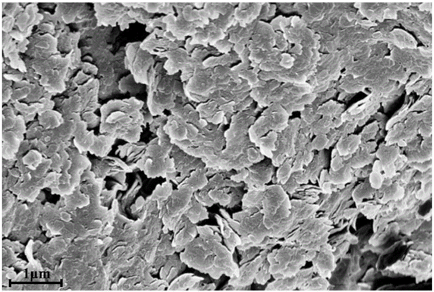 Dynamic hydrothermal synthesis method of exfoliated type MWW lamellar molecular sieve