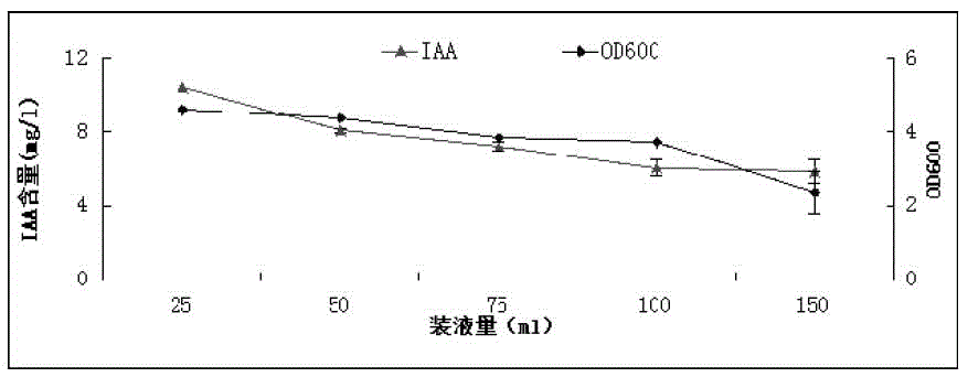 Tobacco growth-promoting rhizobacteria YC5 and application thereof