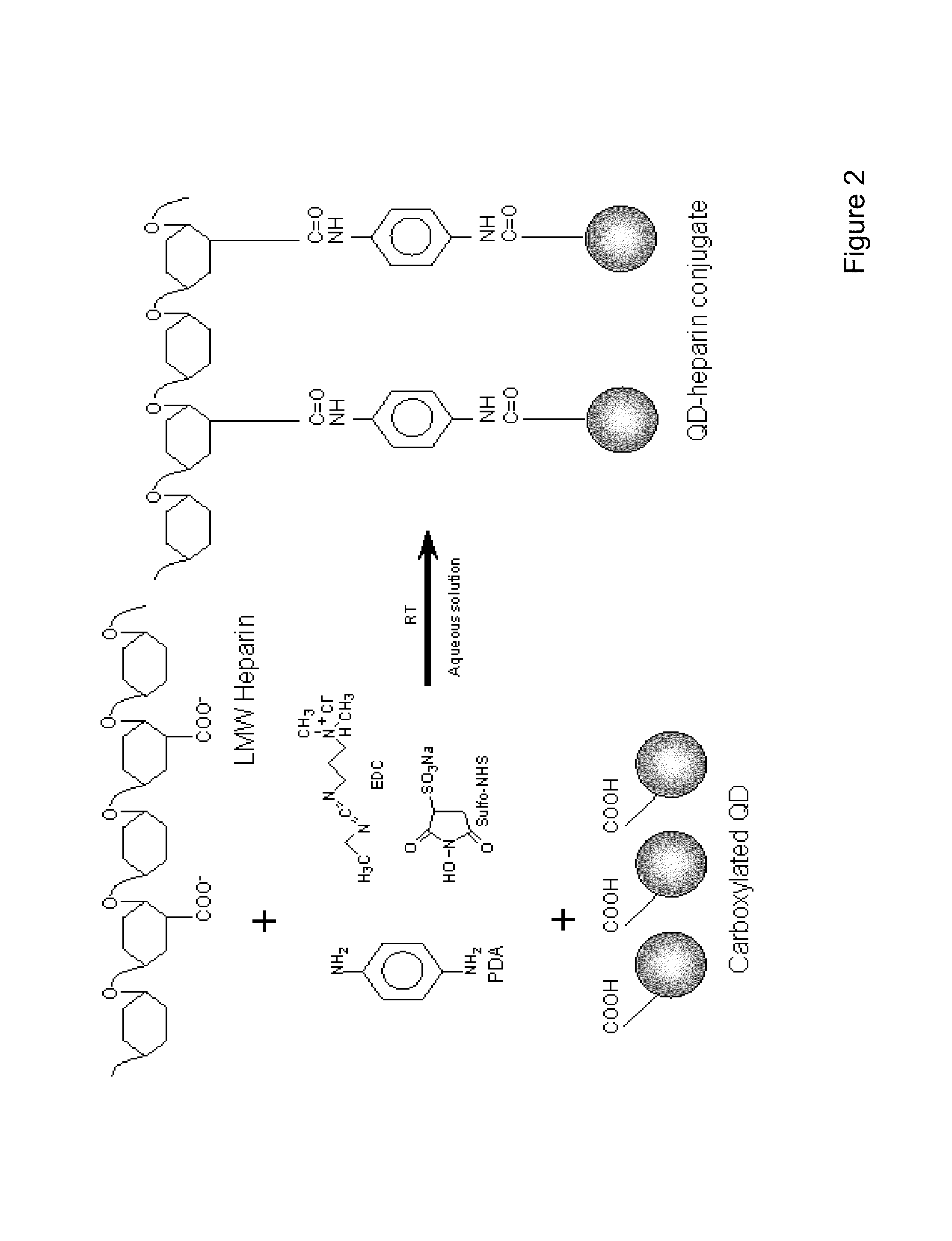 Electrospun cell matrices