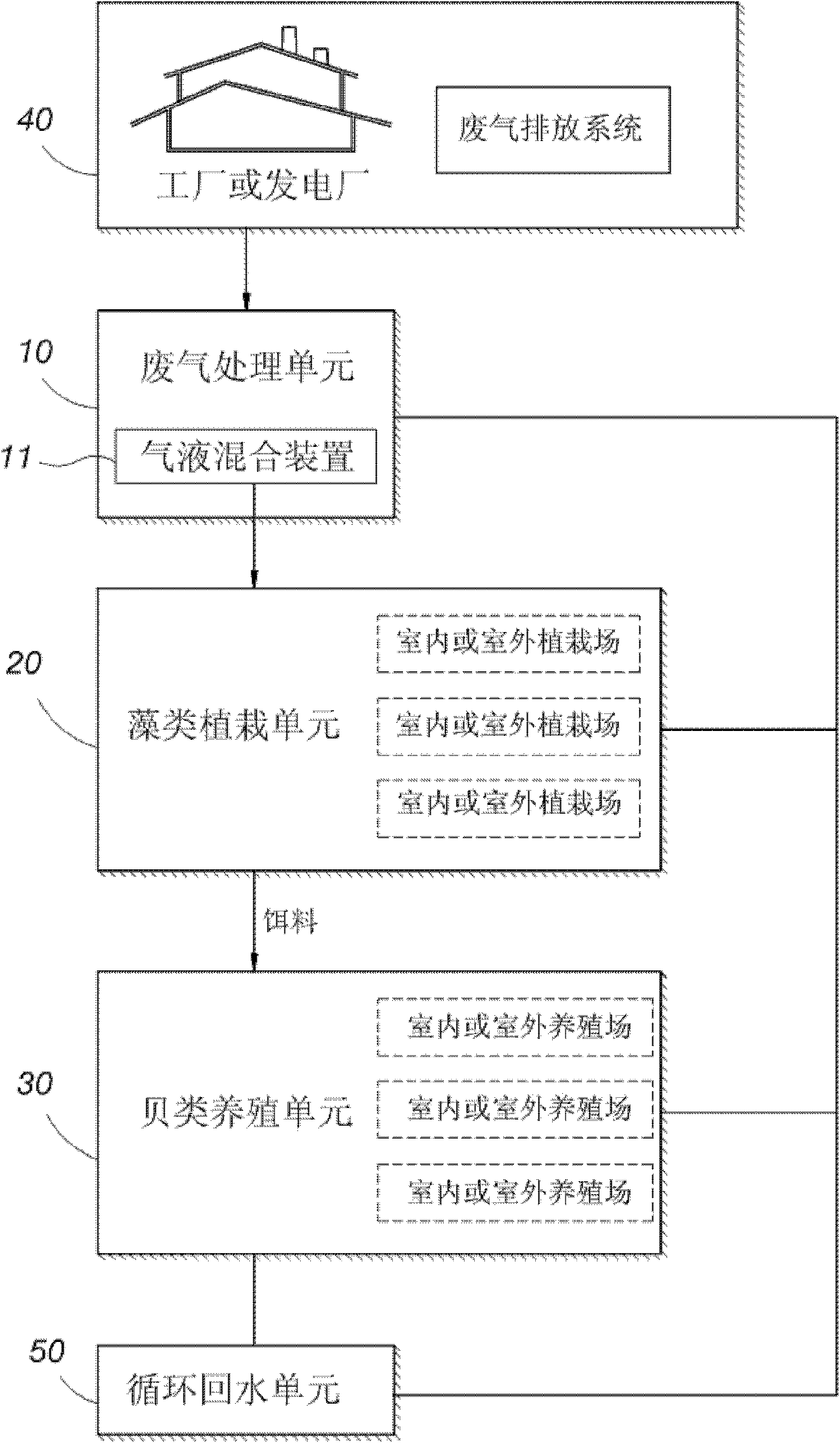 Method and system for fixing carbon dioxide by combining shellfish or coral breeding