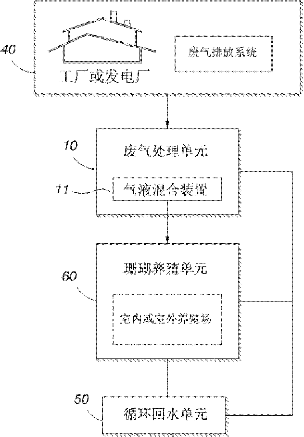 Method and system for fixing carbon dioxide by combining shellfish or coral breeding