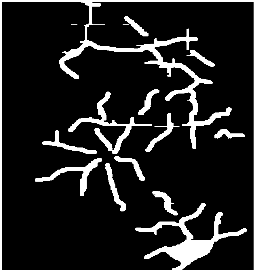 Method for computing unsteady state output of shale gas reservoir complex fracture network