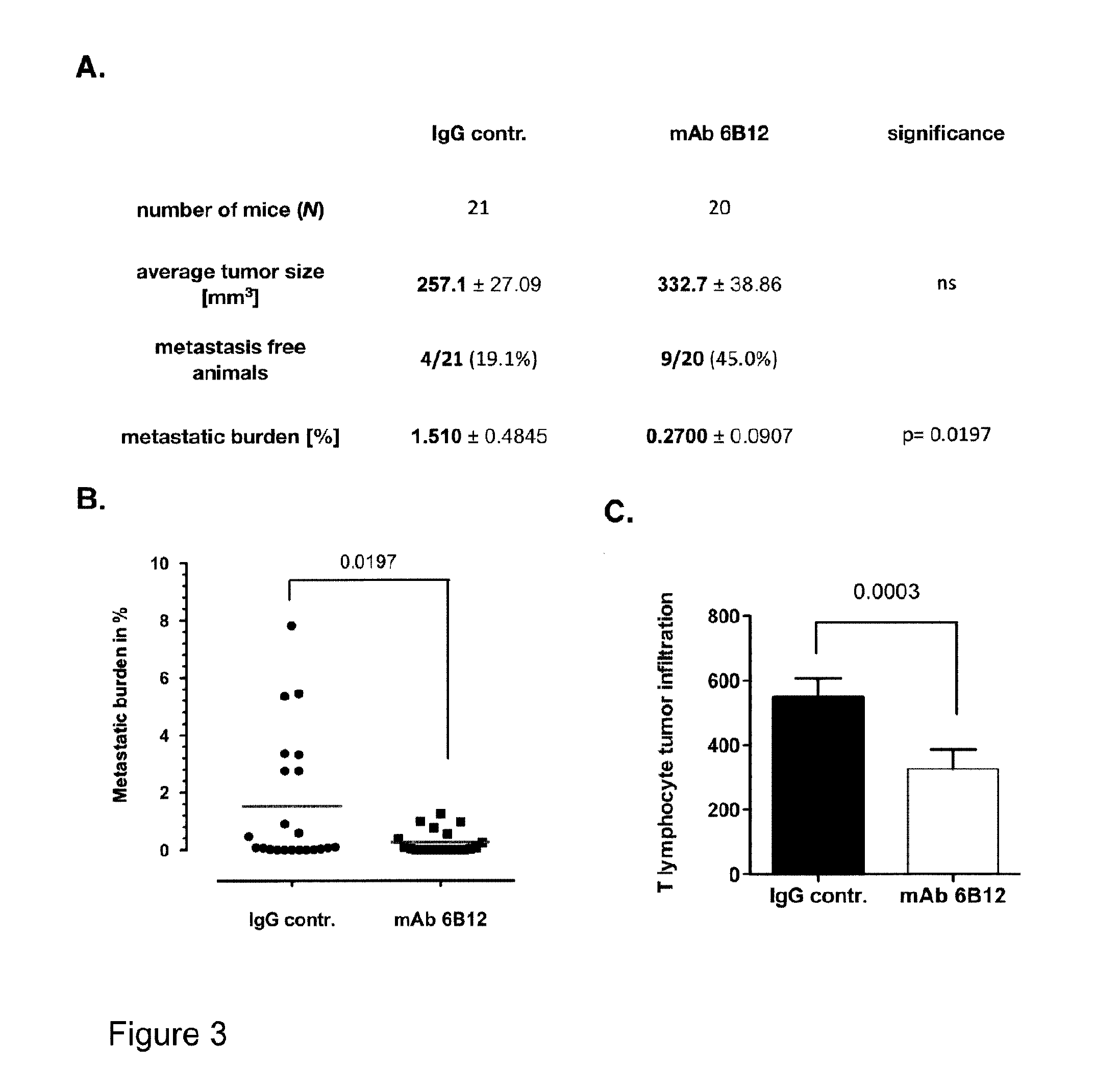 Anti-s100a4 antibody molecules and their uses