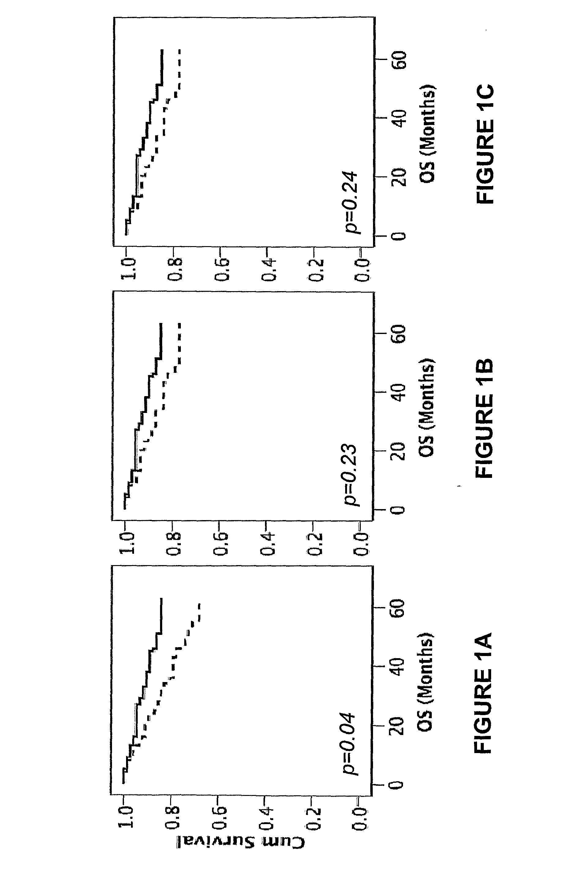 Rbm3 as a marker for breast cancer prognosis