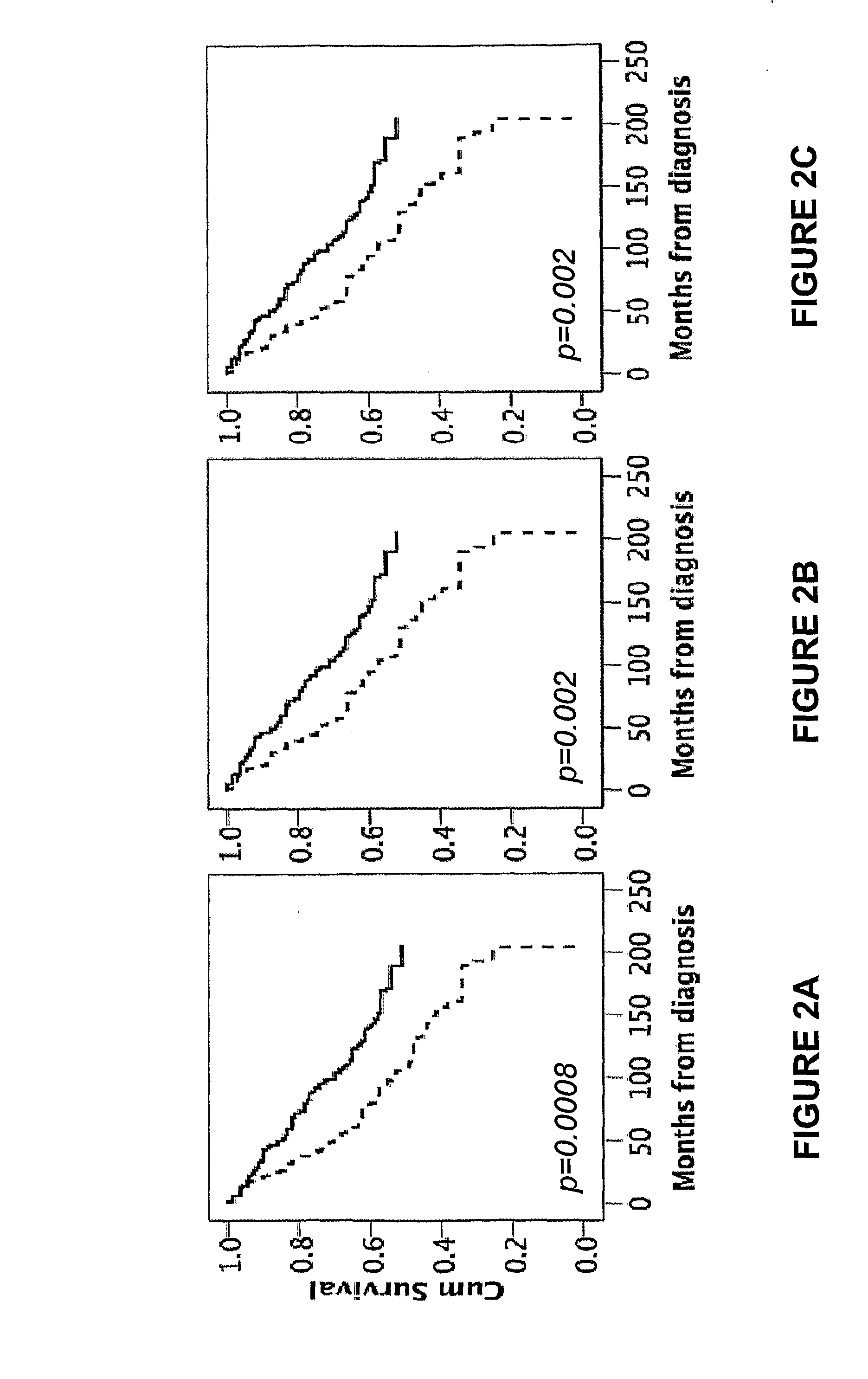 Rbm3 as a marker for breast cancer prognosis