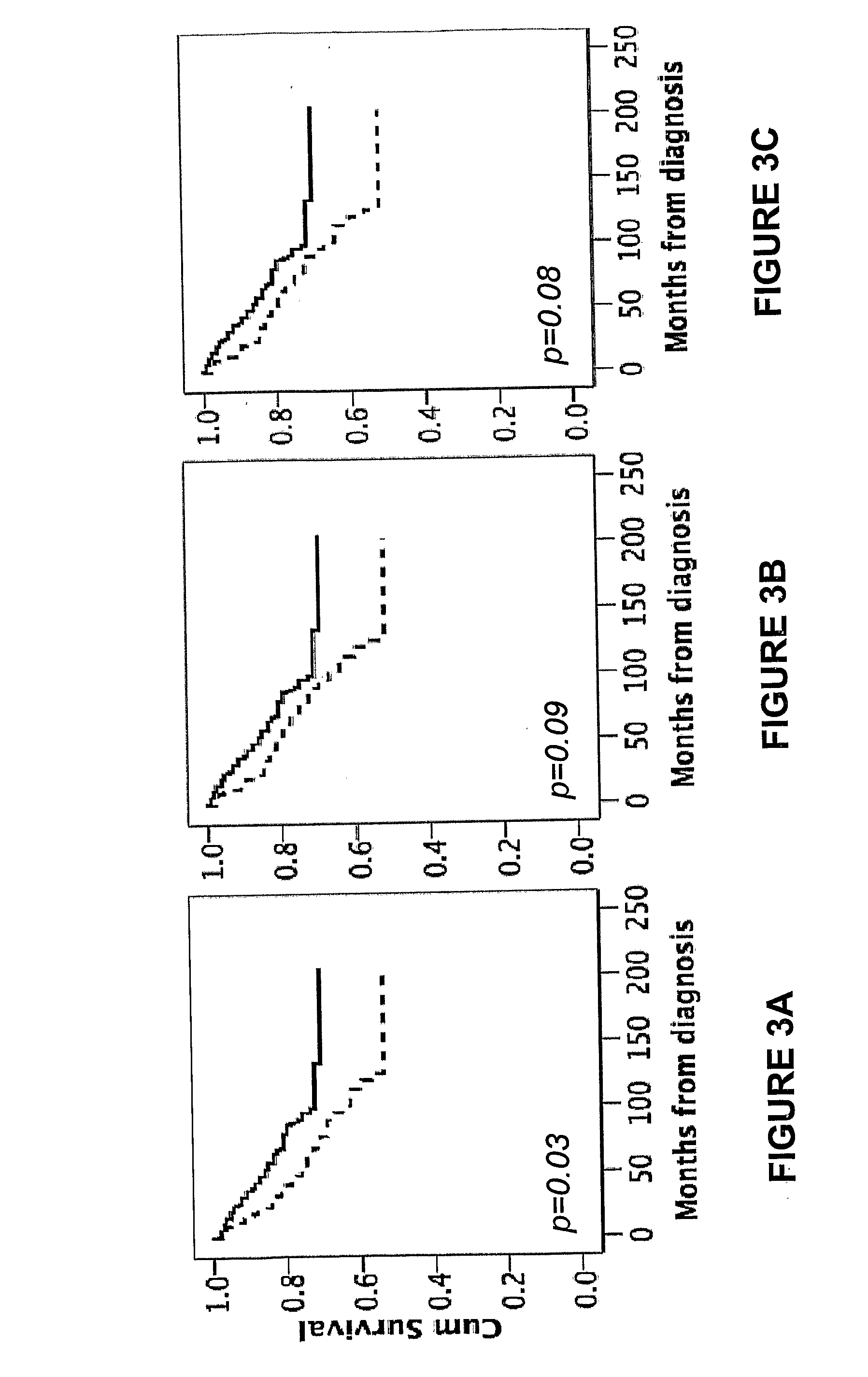 Rbm3 as a marker for breast cancer prognosis