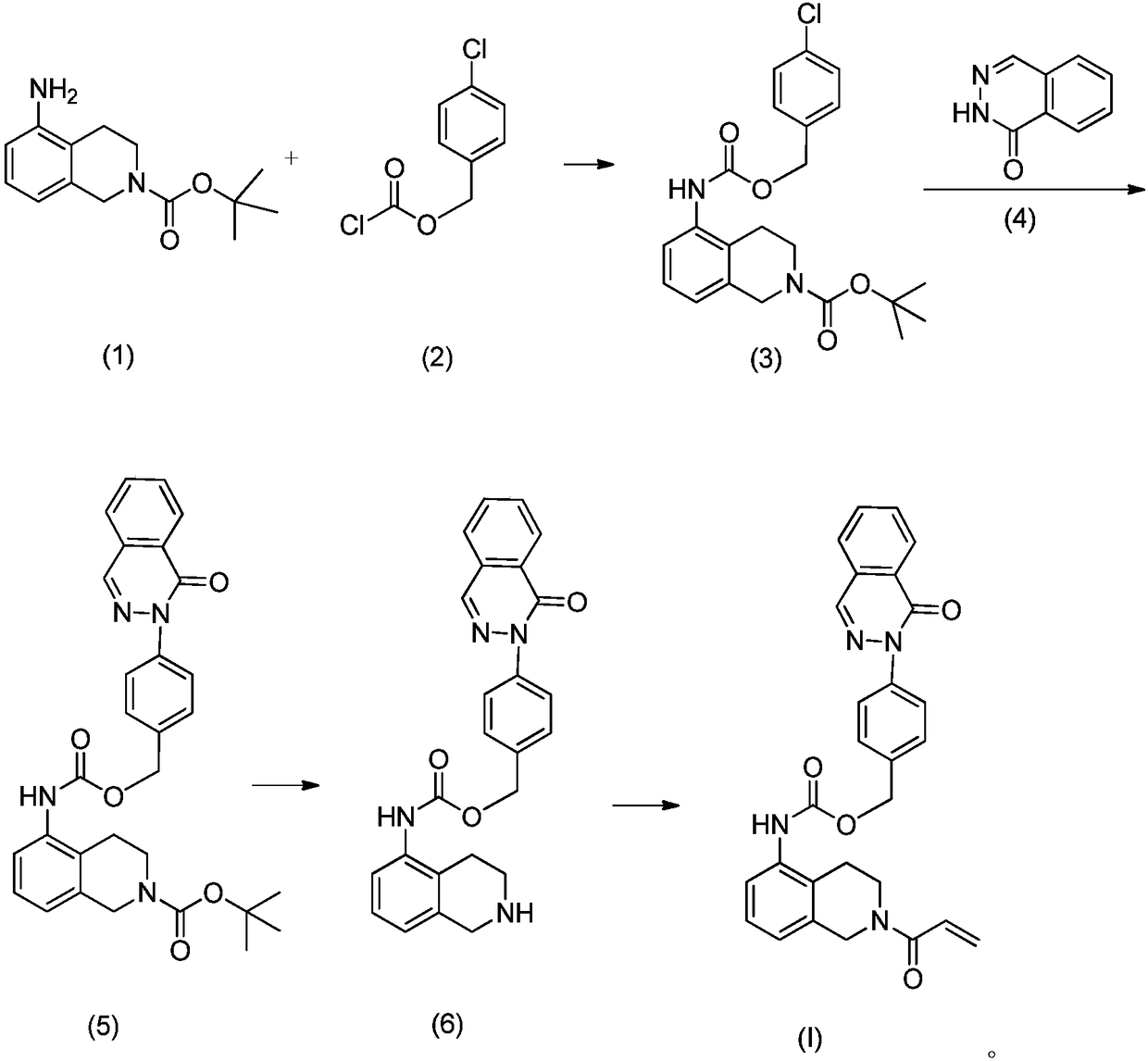 Taxol and novel nitrophthalazinone BTK inhibitor combined pharmaceutical composition and application thereof