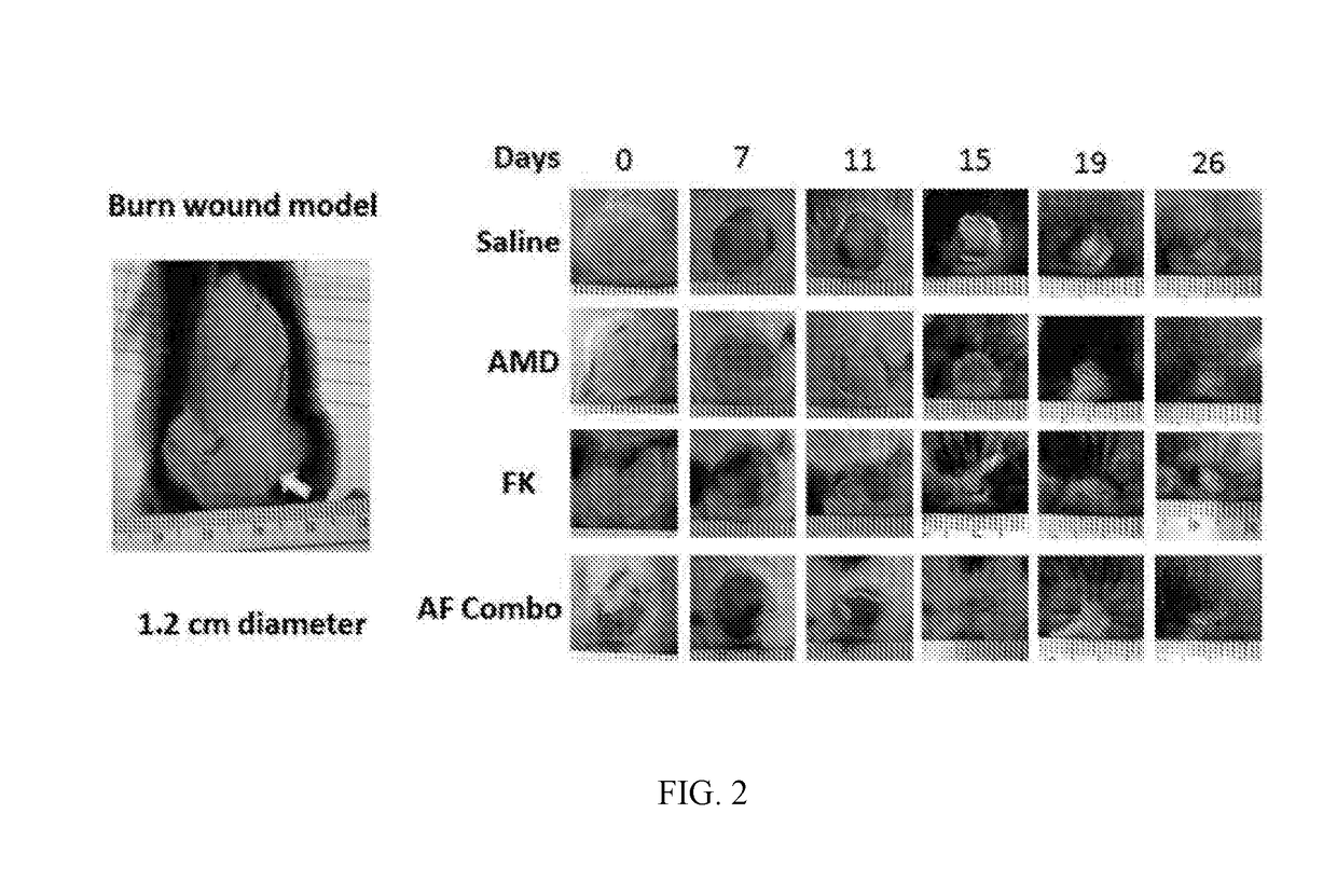 Pharmaceutical compositions useful for the treatement of tissue injury