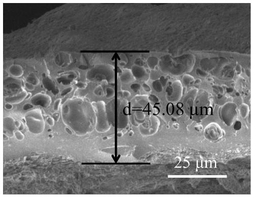 A kind of zno/c hollow microsphere and preparation method thereof