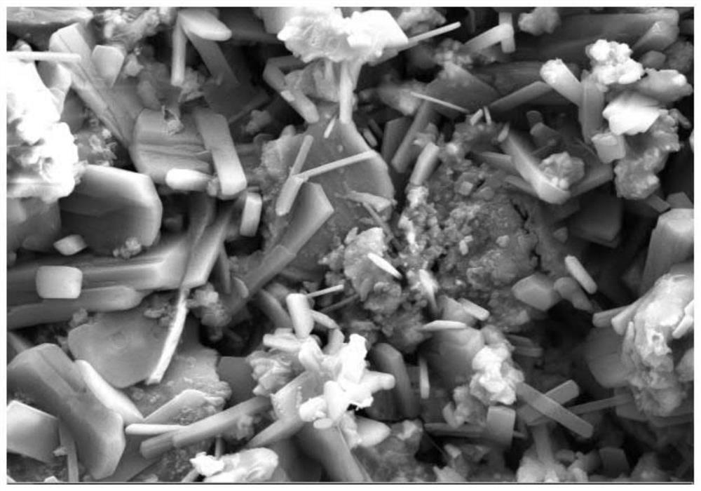 Coating, preparation method thereof and method for spraying coating on metal mold cavity