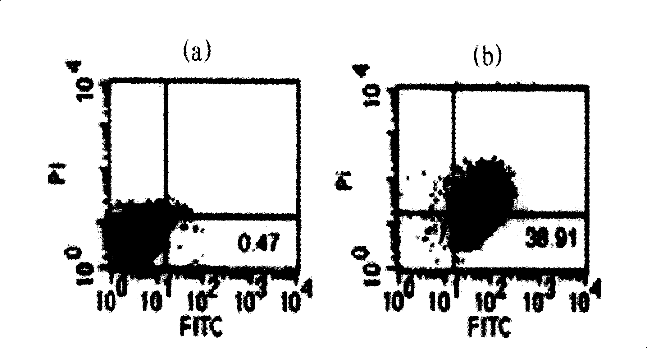 Short peptide suppressing growth of cancer cell and uses thereof