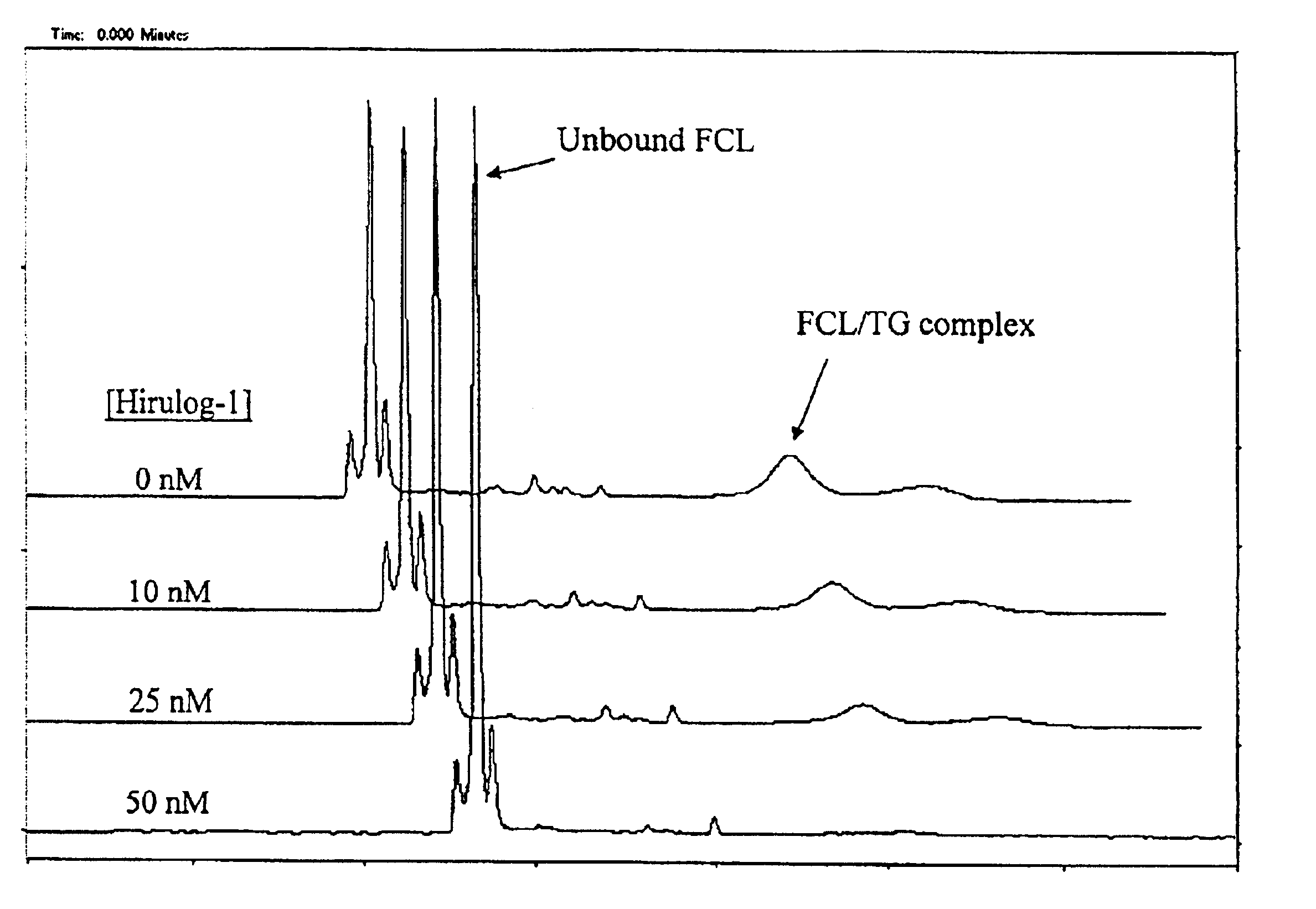 Capillary electrophoresis method for screening for affinity ligands using a detectable competitive ligand