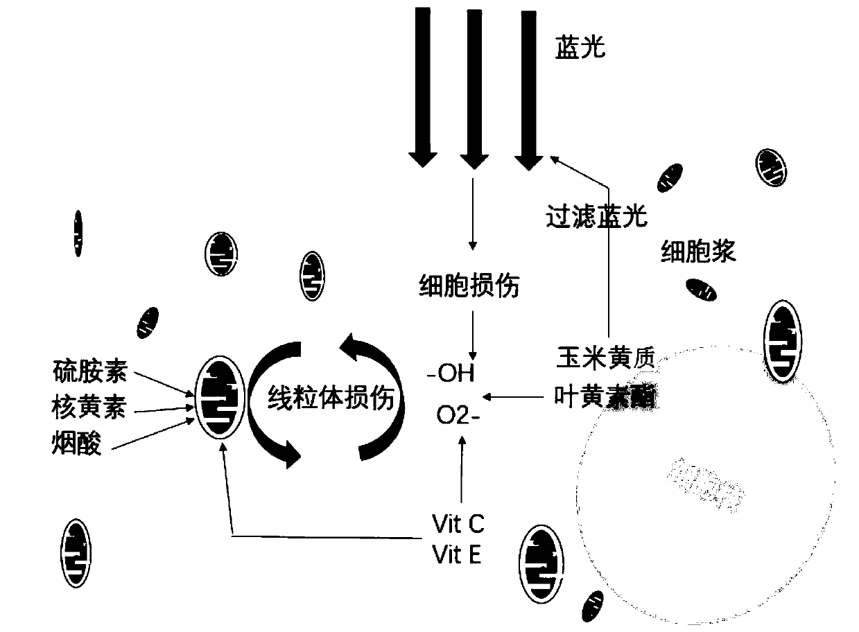 Eye-protecting micronutrient premix emulsion and preparation method and application thereof