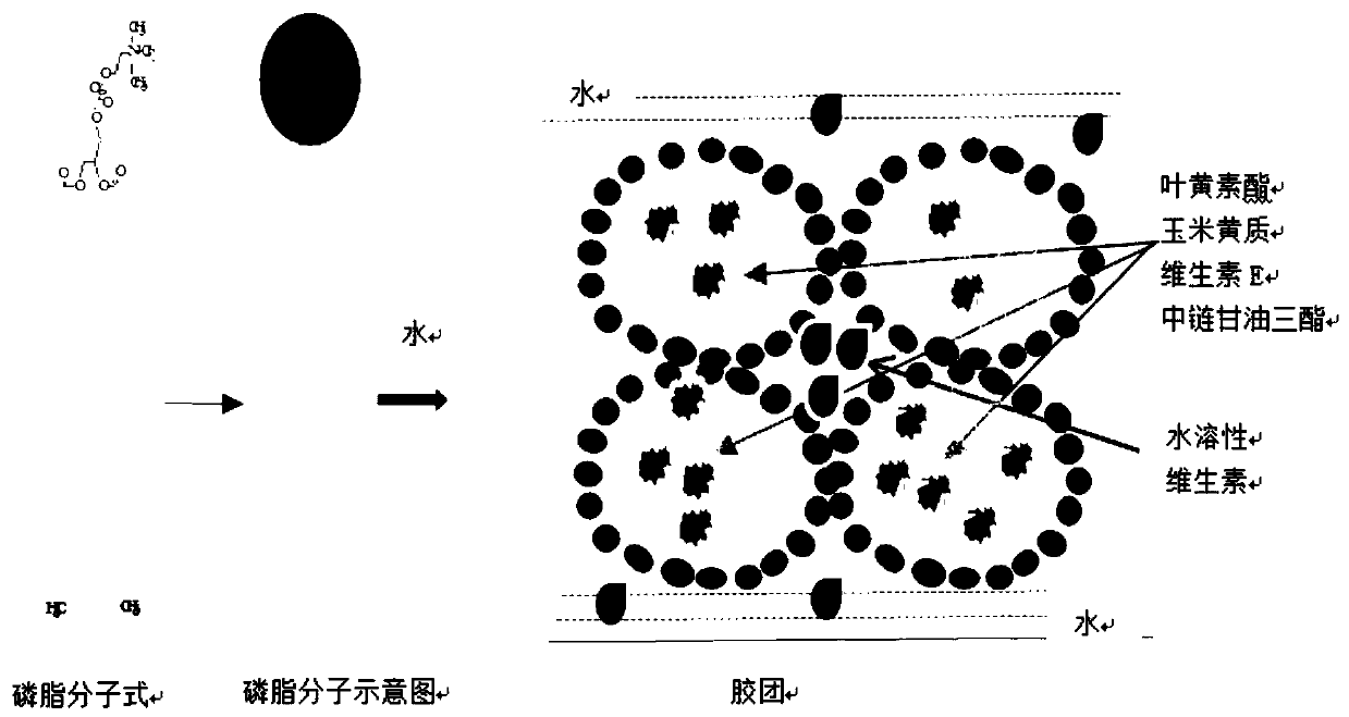 Eye-protecting micronutrient premix emulsion and preparation method and application thereof