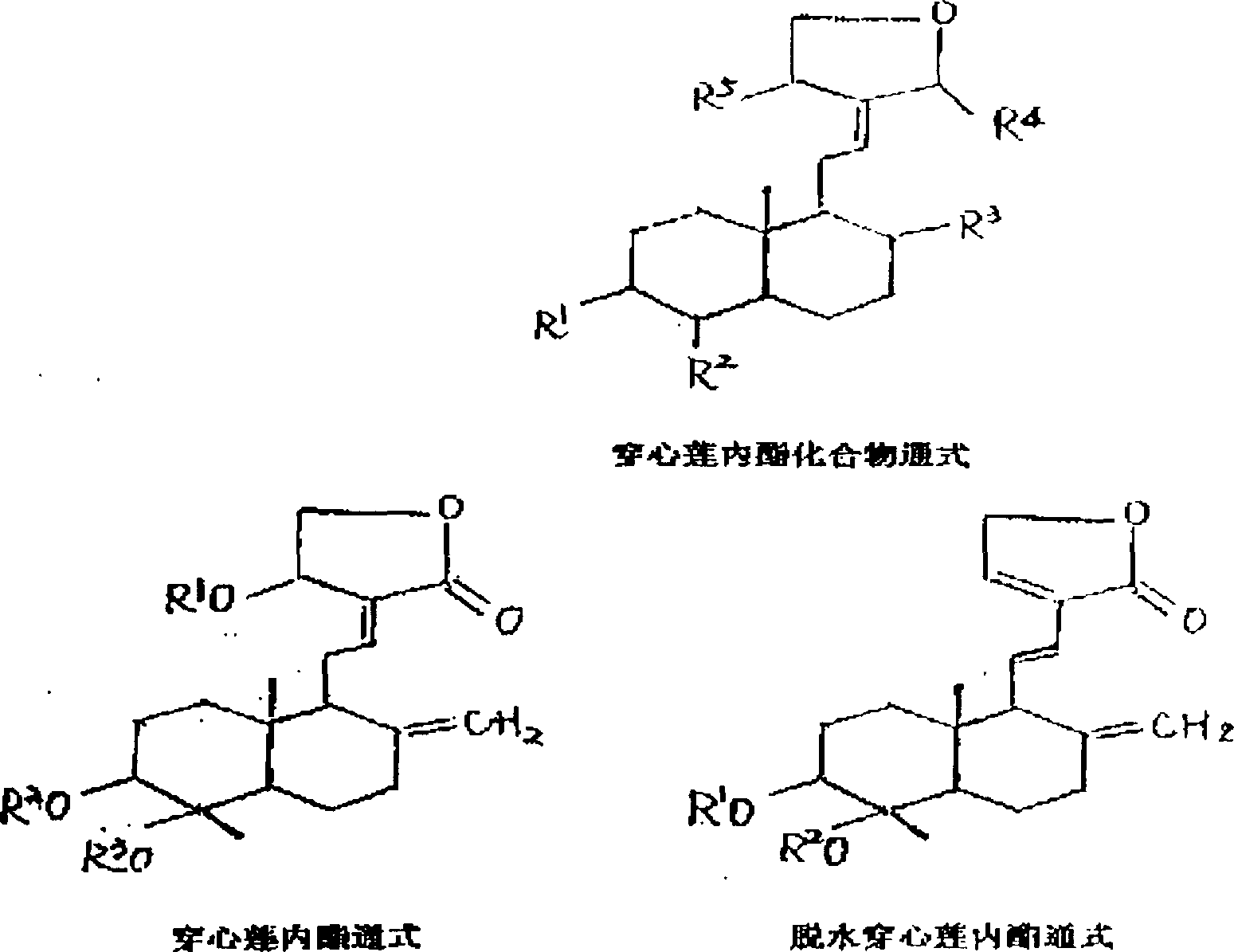 Andrographolide compound solubilizing preparing method and medicinal preparation