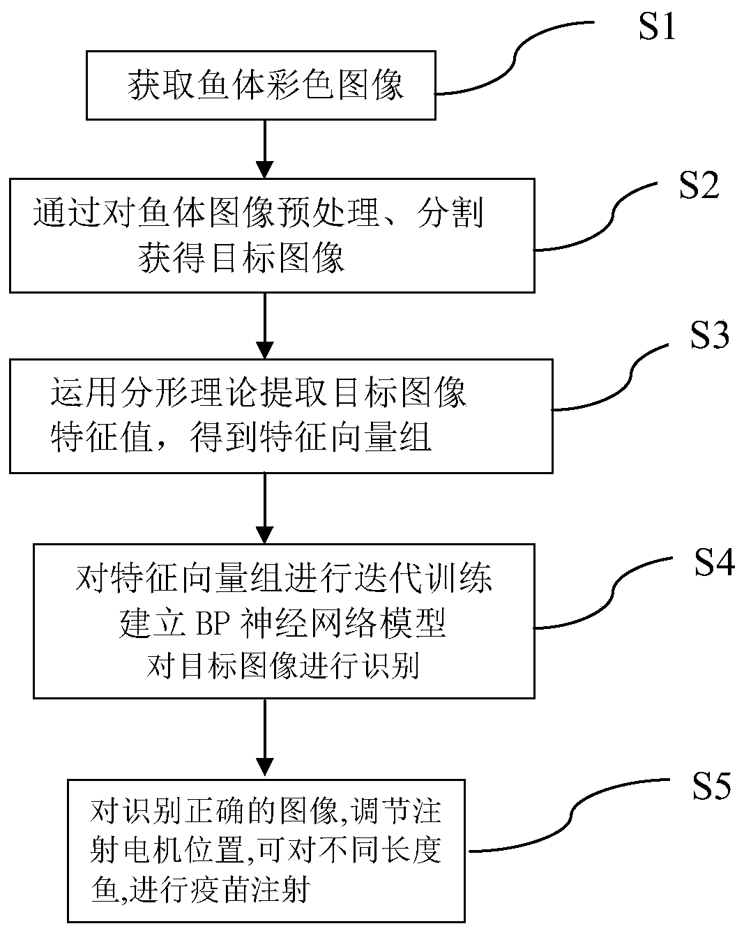 A Fish Identification and Vaccine Injection Method Based on Fractal Theory and BP Algorithm