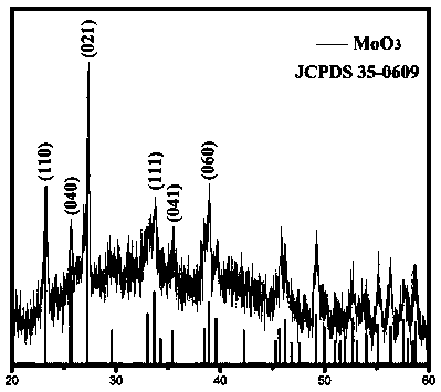 Electrospinning synthesis method of MoO3 sheet structure