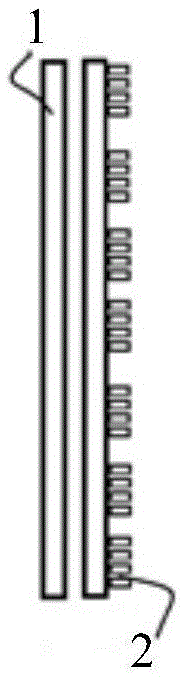 Directive color filter and naked eye 3D display device