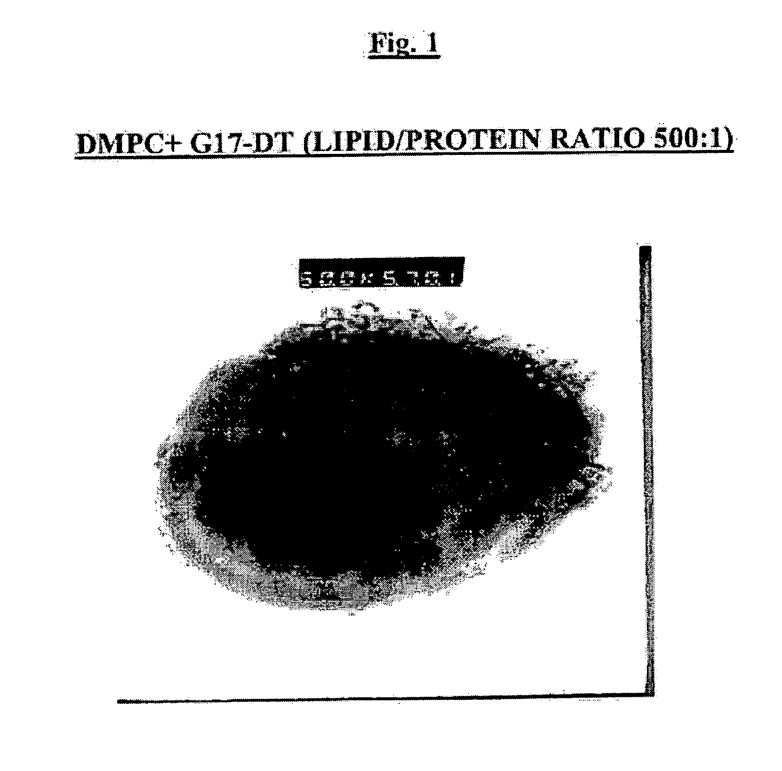 Liposomal vaccine