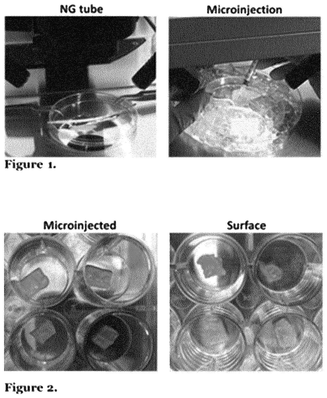 Tissue engineering