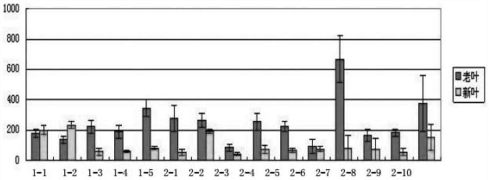 Complex microbial inoculant, bio-fertilizer and preparation method