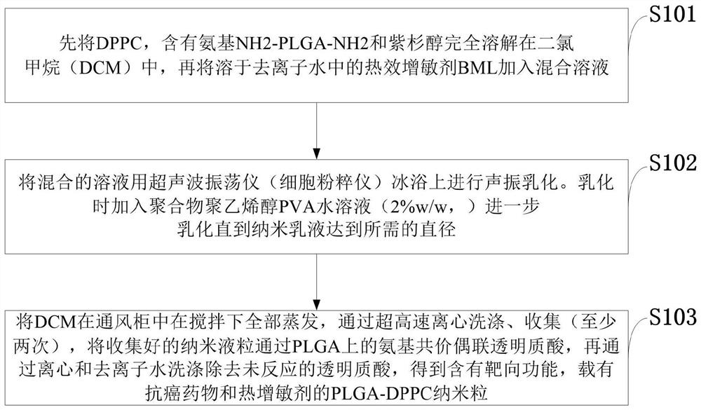 Drug for treating solid malignant tumors and preparation method