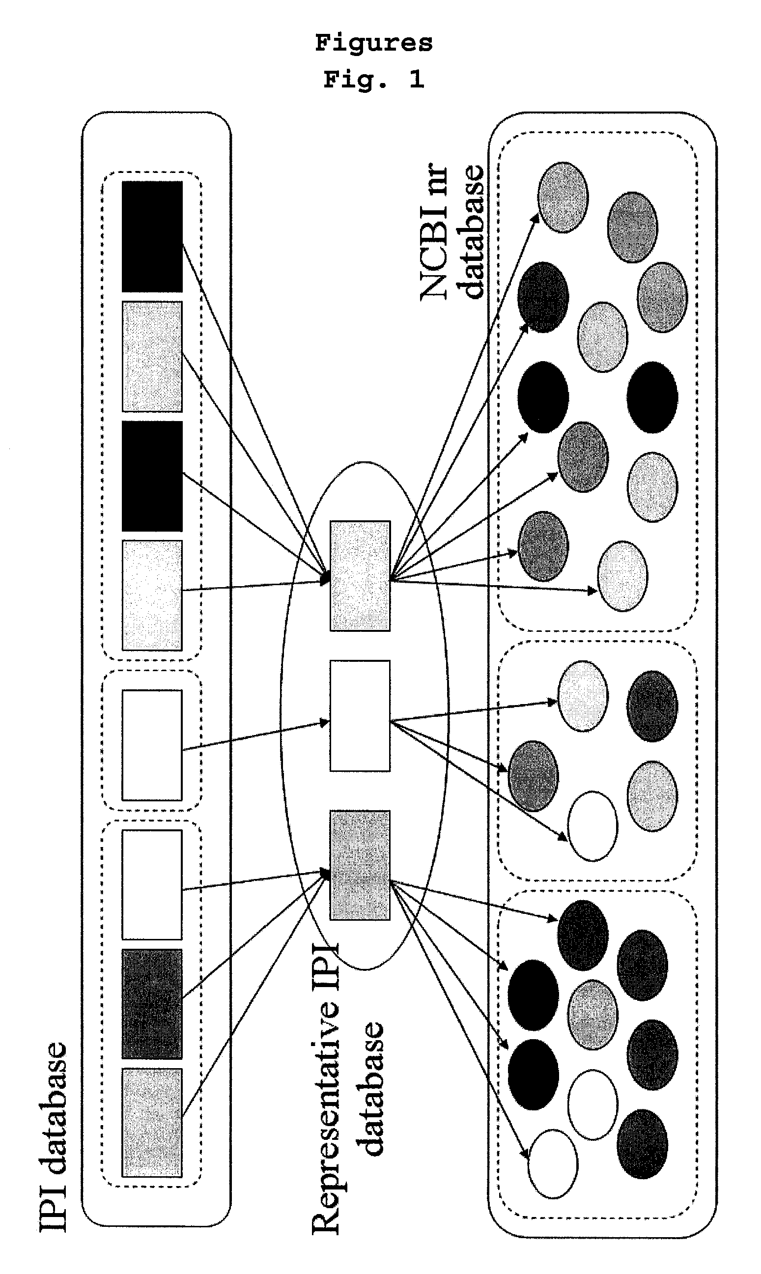 Method for reconstructing protein database and a method for screening proteins by using the same method