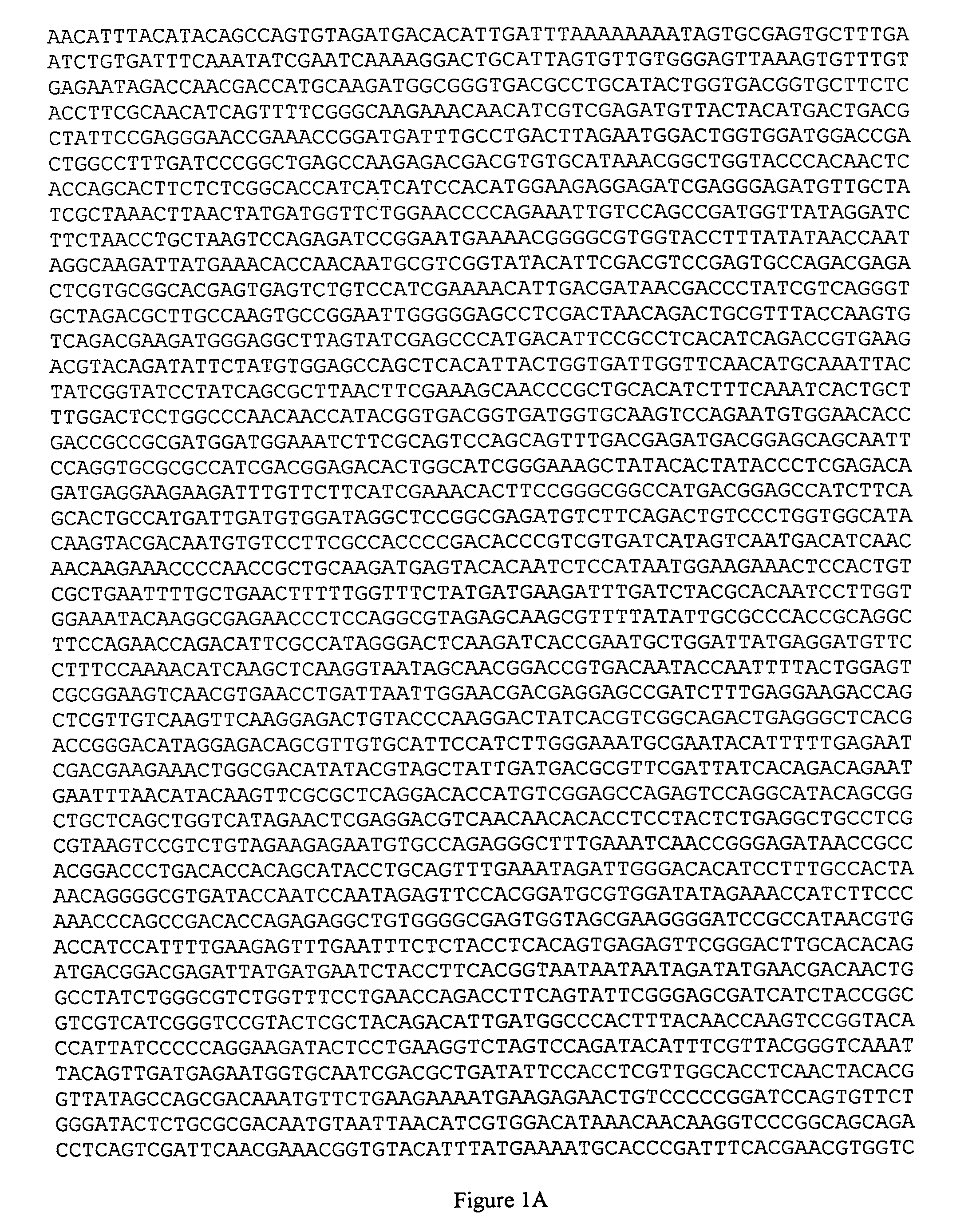 <i>Pectinophora gossypiella </i>(pink bollworm) <i>Bacillus thuringiensis </i>toxin receptor BT-R<sub>2 </sub>