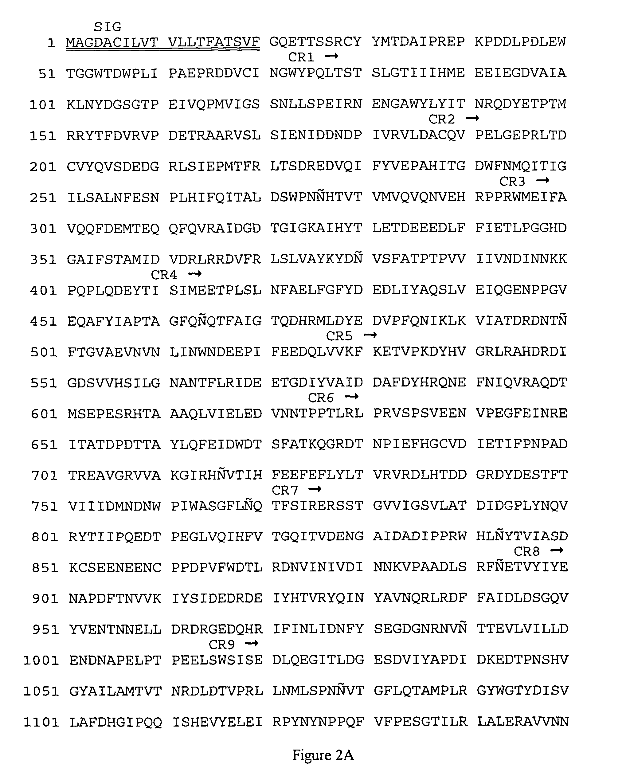 <i>Pectinophora gossypiella </i>(pink bollworm) <i>Bacillus thuringiensis </i>toxin receptor BT-R<sub>2 </sub>