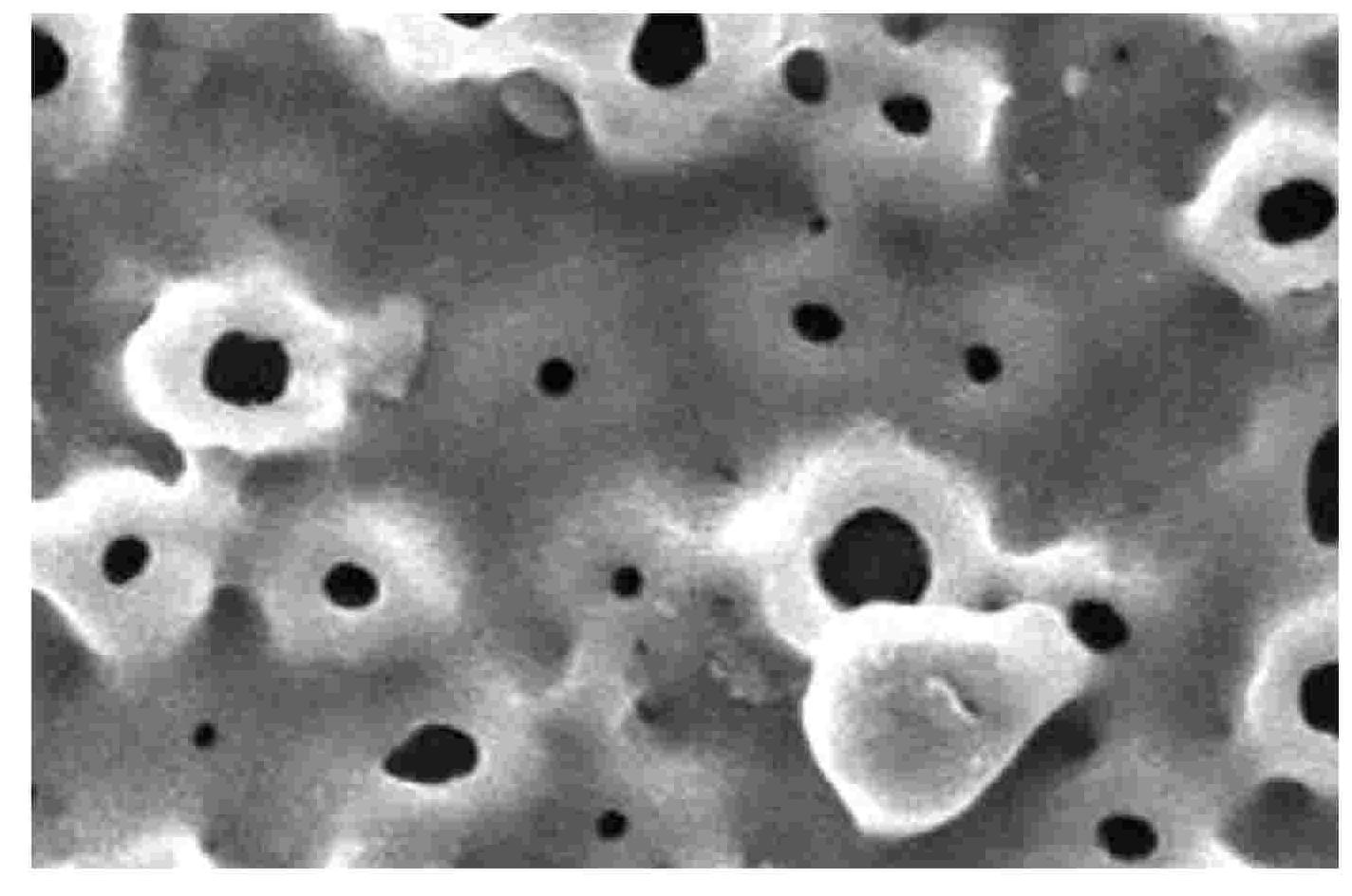 Preparation method of titanium alloy micro-arc oxide coating