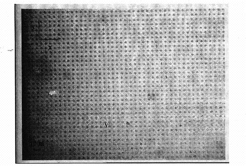 Method for generating high-frequency ultrasonic waves based on dielectric body superlattice